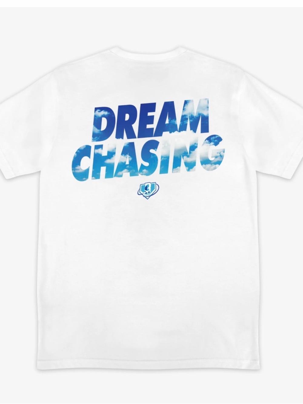 Baseball lifestyle 101 “Dream Chaser tee” new with no tags youth small